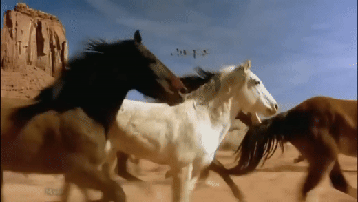 Return to Innocence- Enigma (Lyrics)