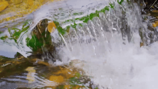 Wild Colombia Revealed | Free Documentary Nature