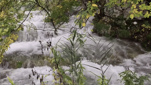 The Mystery of Water: Nature’s Strangest Liquid | Free Documentary Nature